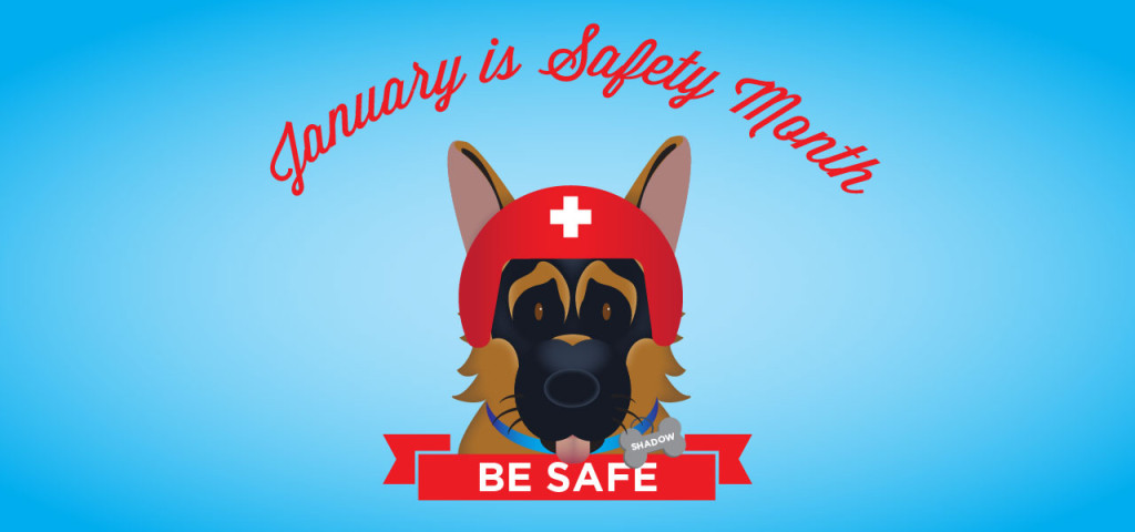 january-safety-month-01