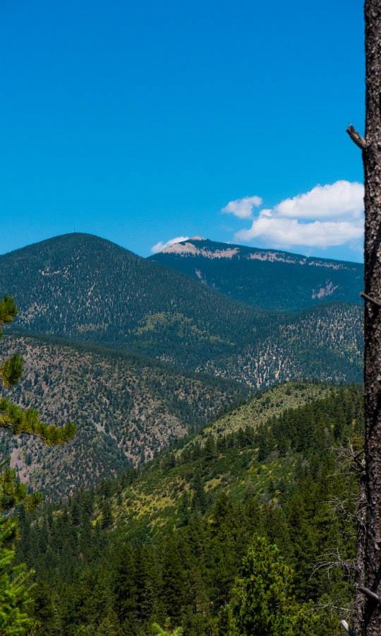 The view near the top of Clear Creek Trail in New Mexico
