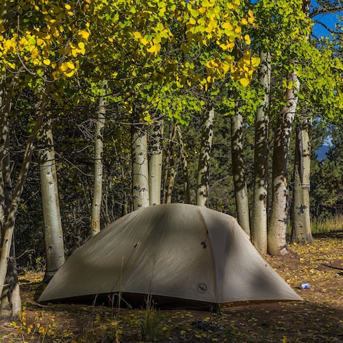 Tent