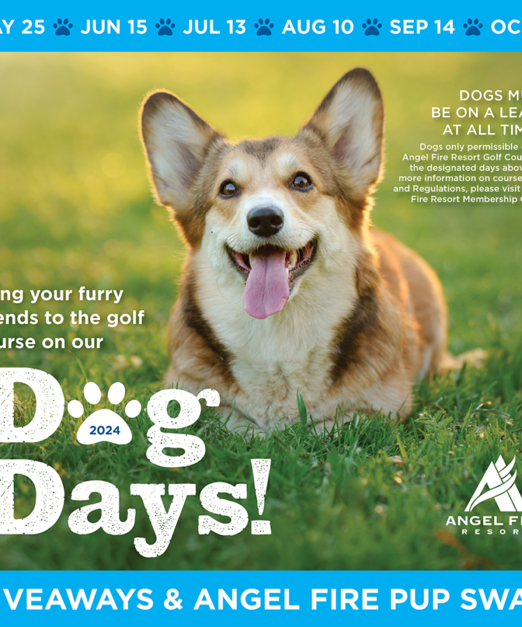 AFR_Dog-Days_24new_1080x1080
