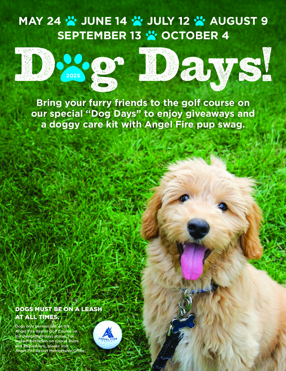 AFR_Family-Dog-Days_2025_flyer