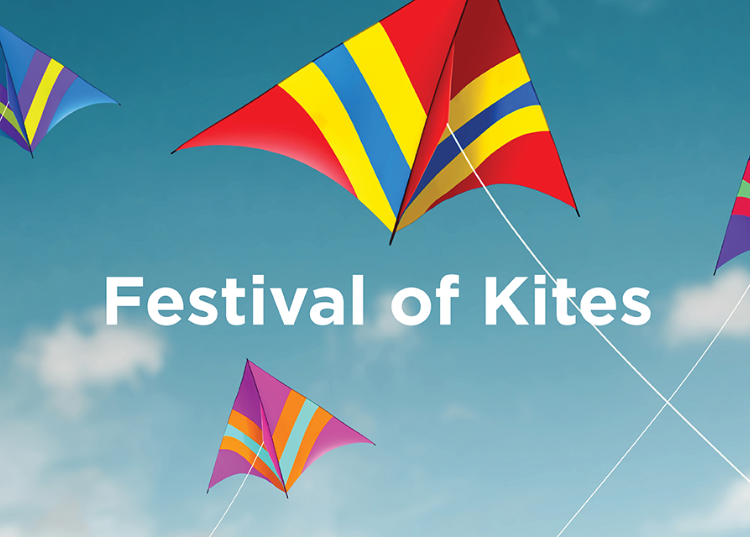 Festival of Kites