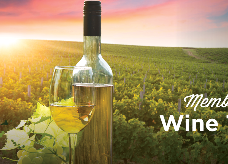 Wine Tour
