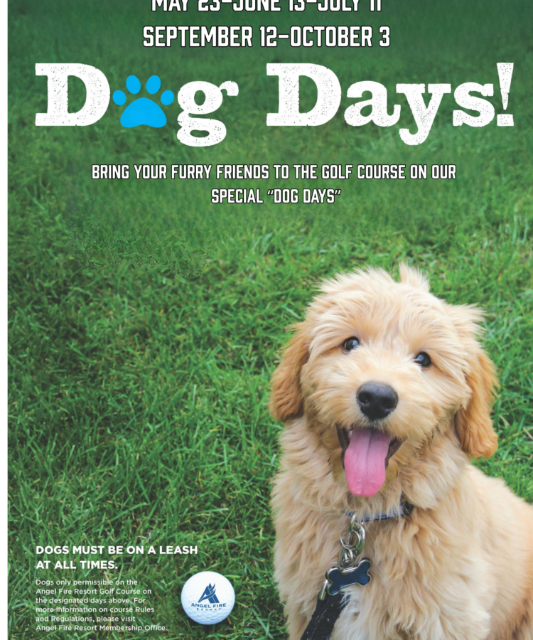 Dog Days Summer 2026 (2)