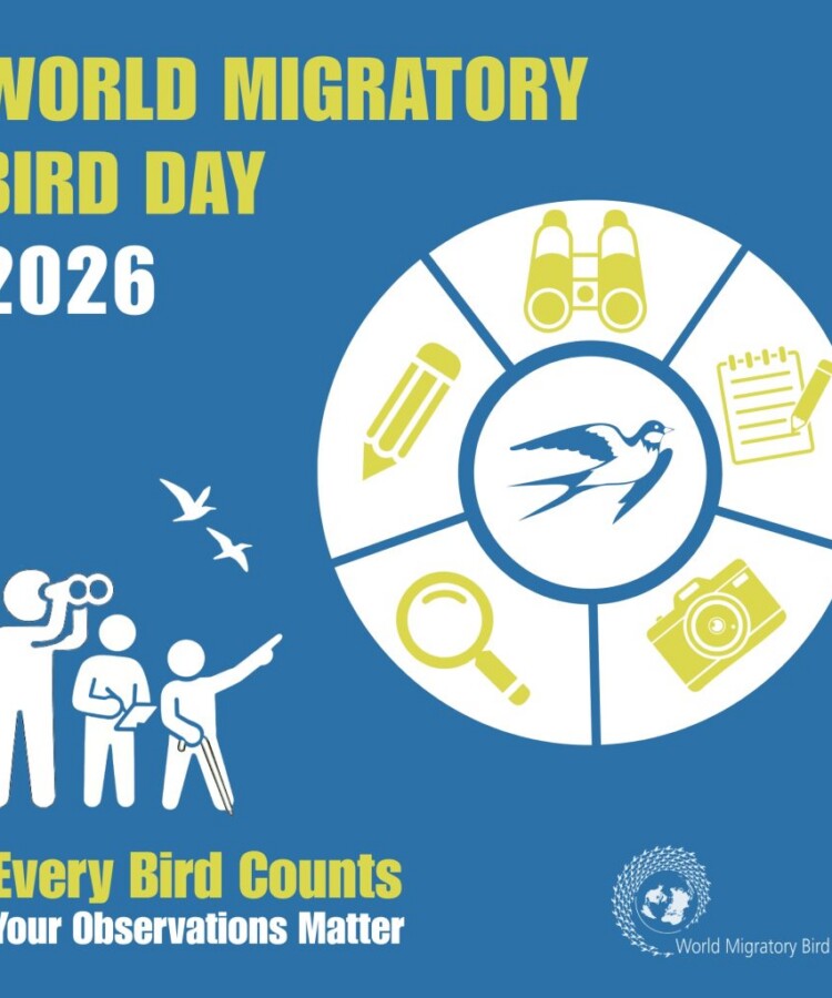 Intl Migratory Bird Count